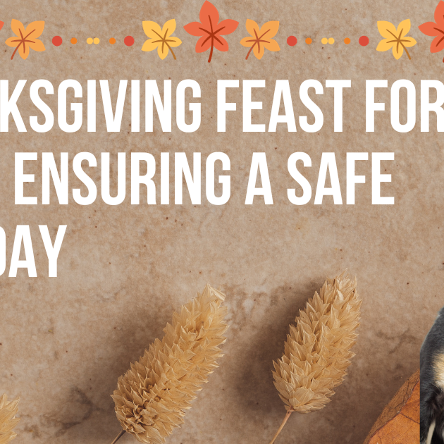 Thanksgiving feast for pets: Ensuring a safe holiday