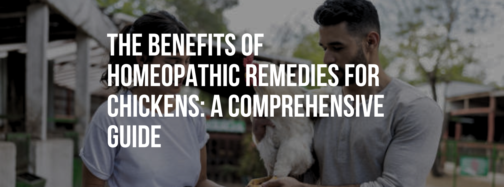 The Benefits of Homeopathic Remedies for Chickens: A Comprehensive Guide