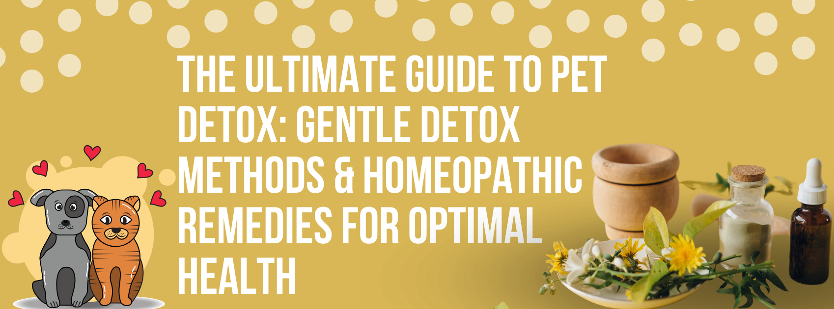 The Ultimate Guide to Pet Detox: Gentle Detox Methods & Homeopathic Remedies for Optimal Health