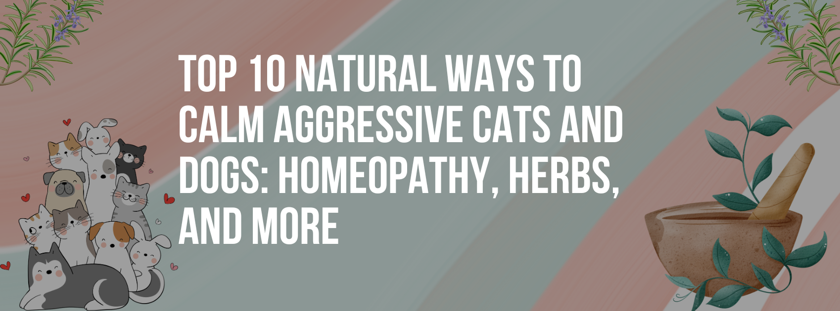 Top 10 Natural Ways to Calm Aggressive Cats and Dogs: Homeopathy, Herbs, and More