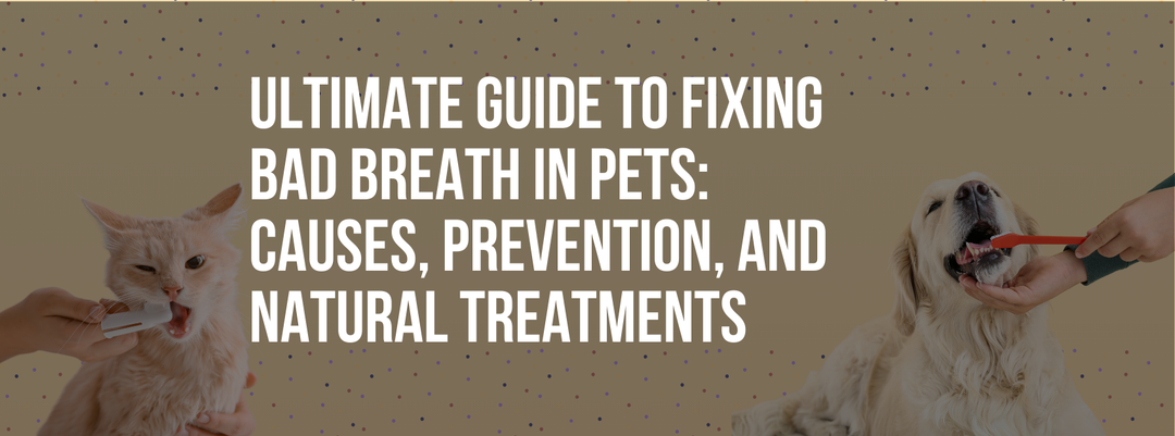 Ultimate Guide to Fixing Bad Breath in Pets: Causes, Prevention, and Natural Treatments
