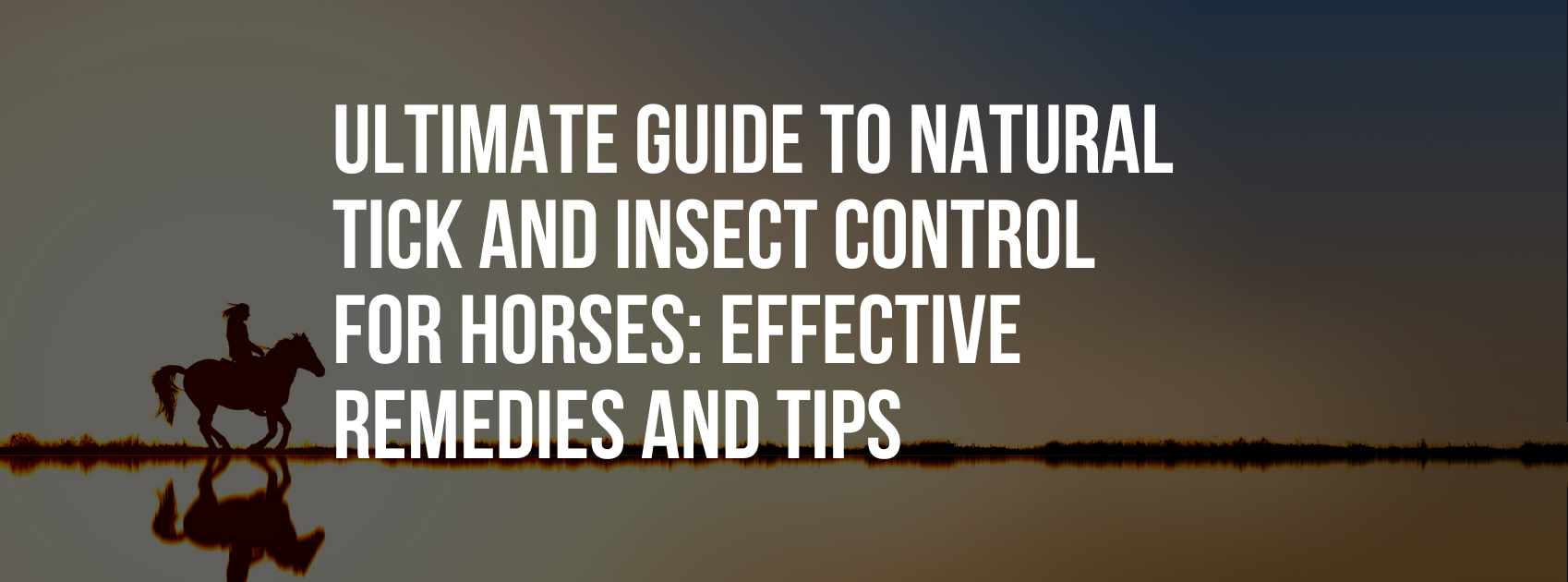 Ultimate Guide to Natural Tick and Insect Control for Horses: Effective ...