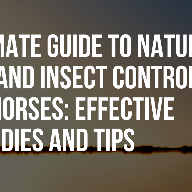 Ultimate Guide to Natural Tick and Insect Control for Horses: Effective Remedies and Tips