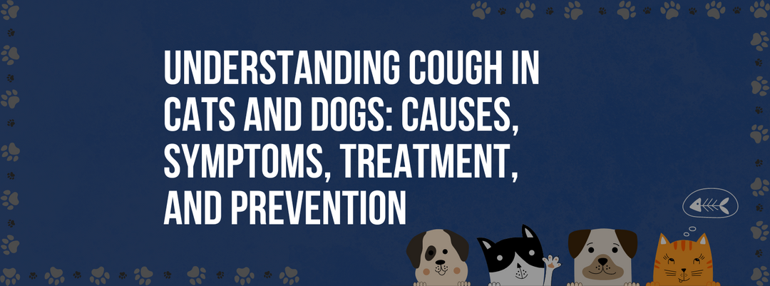 Understanding Cough in Cats and Dogs: Causes, Symptoms, Treatment, and Prevention