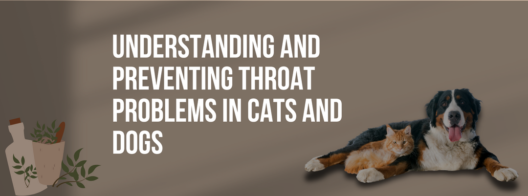 Understanding and Preventing Throat Problems in Cats and Dogs