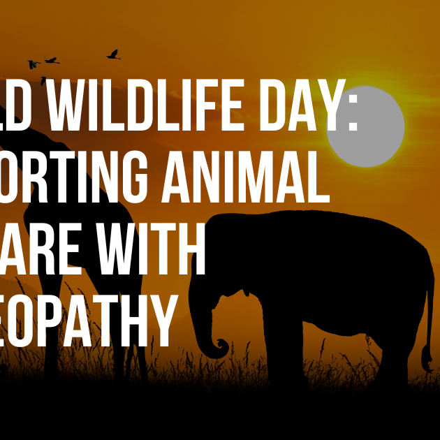 World Wildlife Day: Supporting Animal Welfare with Homeopathy