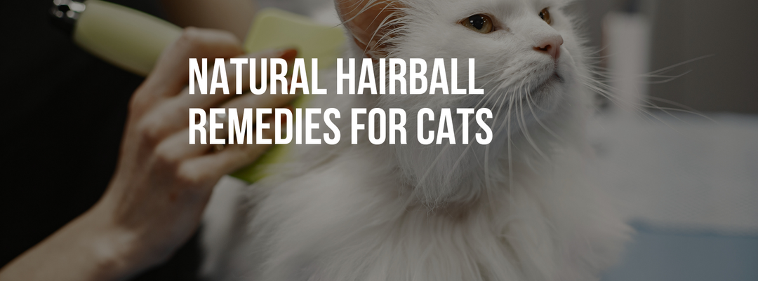 Natural Hairball Remedies for Cats: Prevention & Treatment Tips