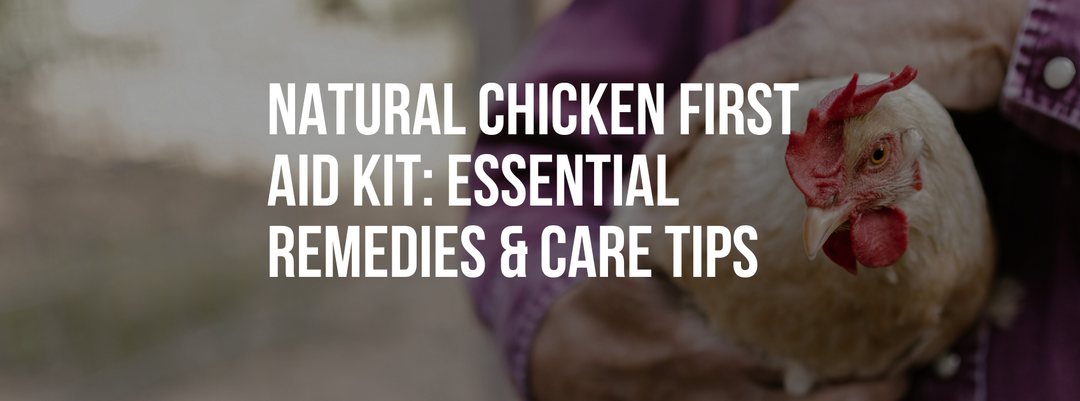 Natural Chicken First Aid Kit: Essential Remedies & Care Tips