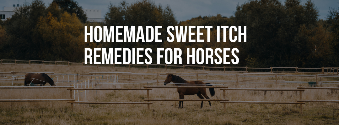 Homemade Sweet Itch Remedies for Horses: Prevention, Treatment & Care Tips