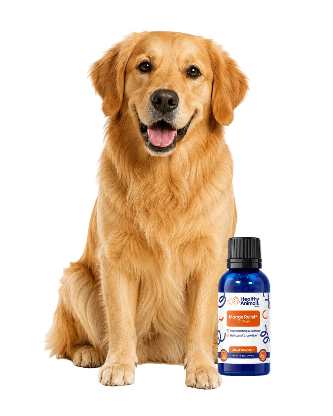 Dogs for testing only