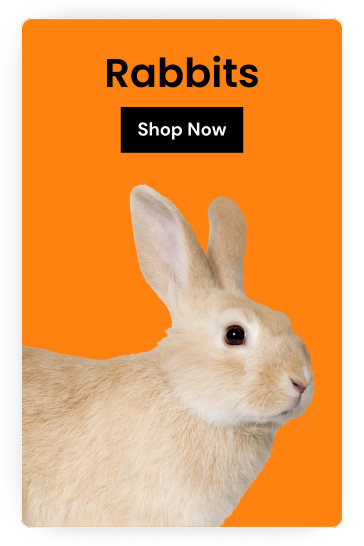 For Your Rabbits