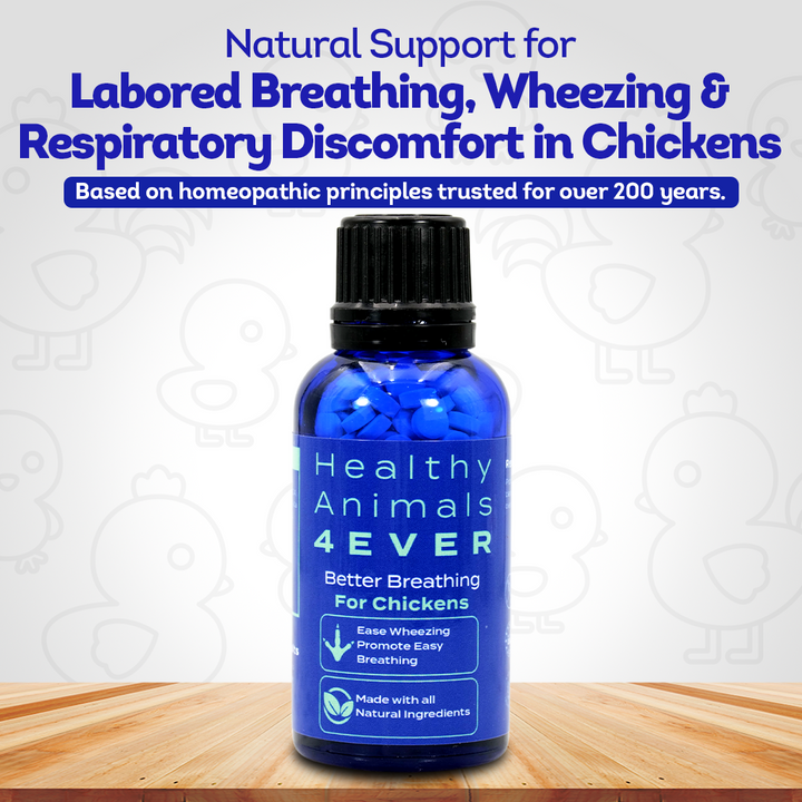 Chicken Respiratory Support Supplement - Effective Breathing Aid for Chickens - Highly Effective Homeopathic Formula - 300 Tablets
