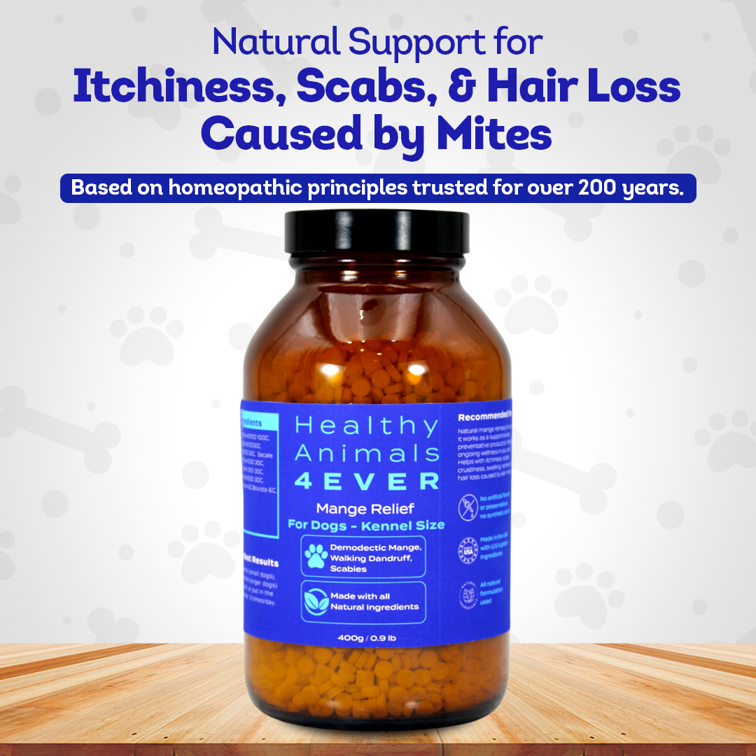 Mange Relief for Dogs - Treatment for Itchiness, Scabs, & Hair Loss Caused by Mites | All-Natural, Homeopathic, Non-Toxic, Tablets, Big Jar