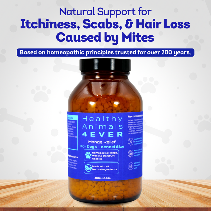 Mange Relief for Dogs - Treatment for Itchiness, Scabs, & Hair Loss Caused by Mites | All-Natural, Homeopathic, Non-Toxic, Tablets, Big Jar
