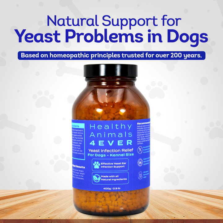 Dog Yeast Protection - Homeopathic Support for Yeast Infections - All-Natural Preventive Care for Skin & Ear Health - Tablets, Big Jar