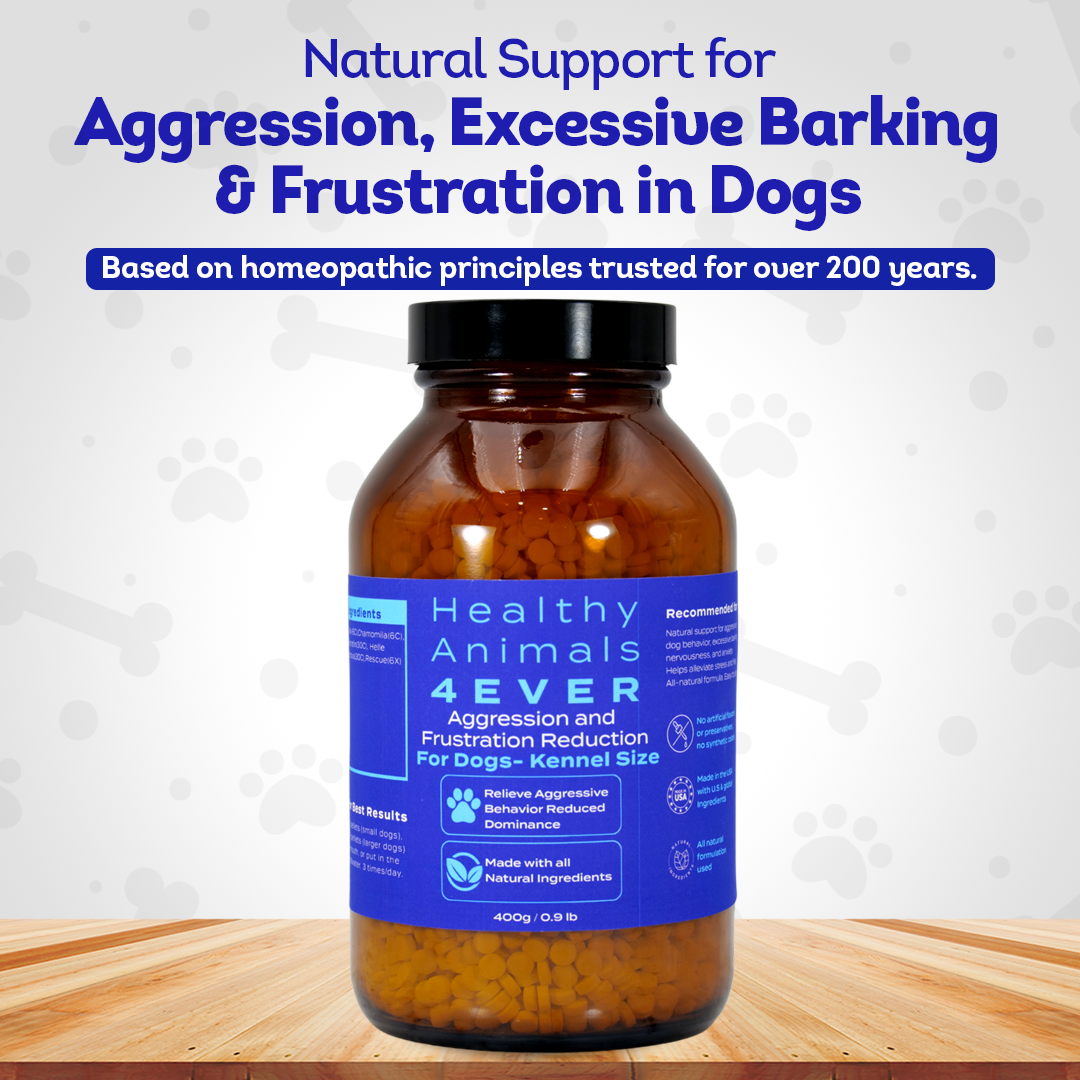 Calming Tablets for Stressed and Aggressive Dogs - Reduce Dog Aggression and Frustration & Promote Relaxation - All-Natural, Homeopathic Remedy - Tablets, Big Jar