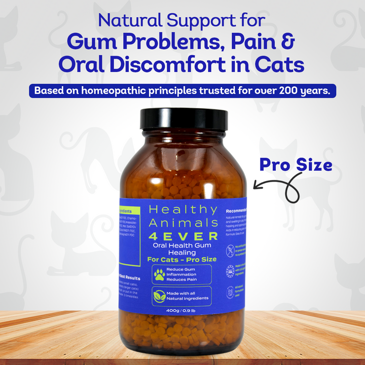 Cat Oral Health - Relieves Inflammation, Soothes Pain & Fights Gum Disease - Natural, Non-GMO, Organic, Gluten-Free & Chemical-Free - Tablets, Big Jar