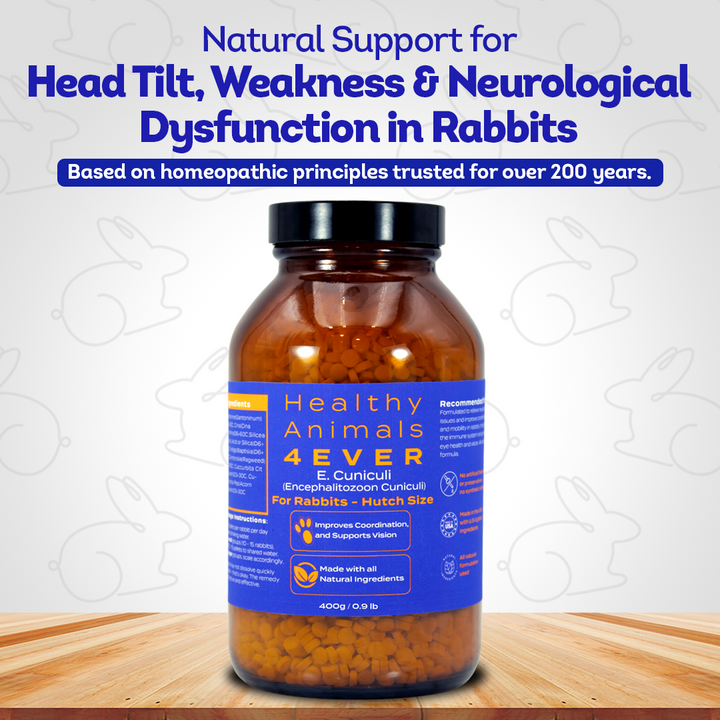 Rabbit E. Cuniculi Infection Treatment - Natural, Homeopathic Support for Prevention & Immunity Boost - Tablets, Big Jar