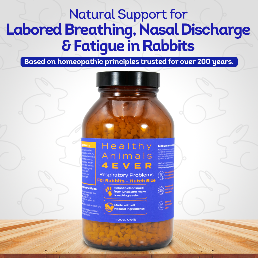 Rabbit Respiratory Remedy - Support for Snuffles, URI & Breathing Relief - Preventive Care - Natural, Homeopathic, Non-Toxic, Tablets, Big Jar