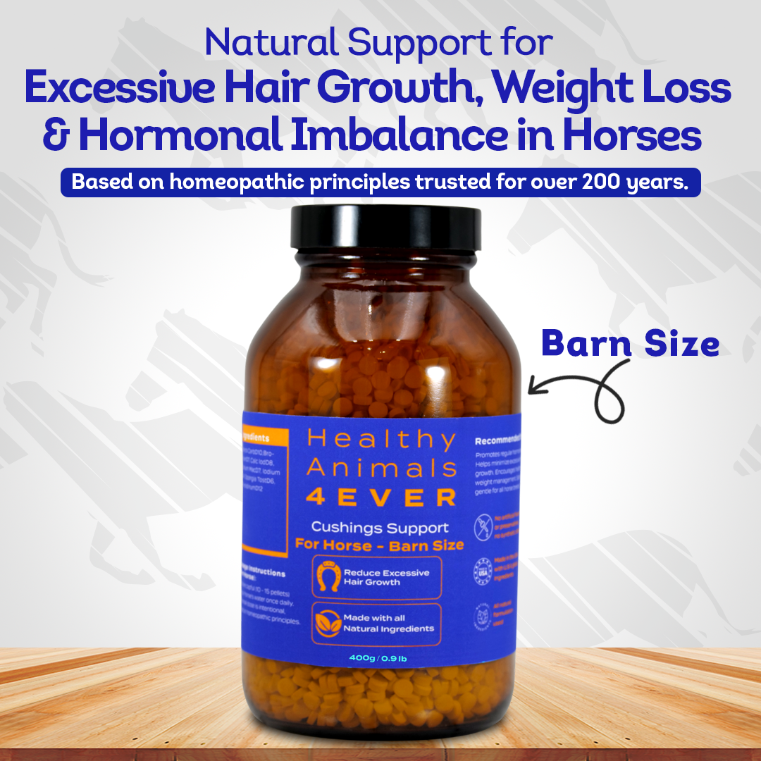 Horse Digestive Support for Cushing’s Disease - Preventative Care - Highly Effective, Natural Homeopathic Supplement - Tablets, Big Jar