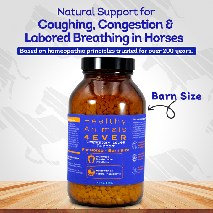 Horse Respiratory Issues Support - Helps Prevent Heaves, Allergies & Infections – Highly Effective, Natural Homeopathic Supplement - Tablets, Big Jar