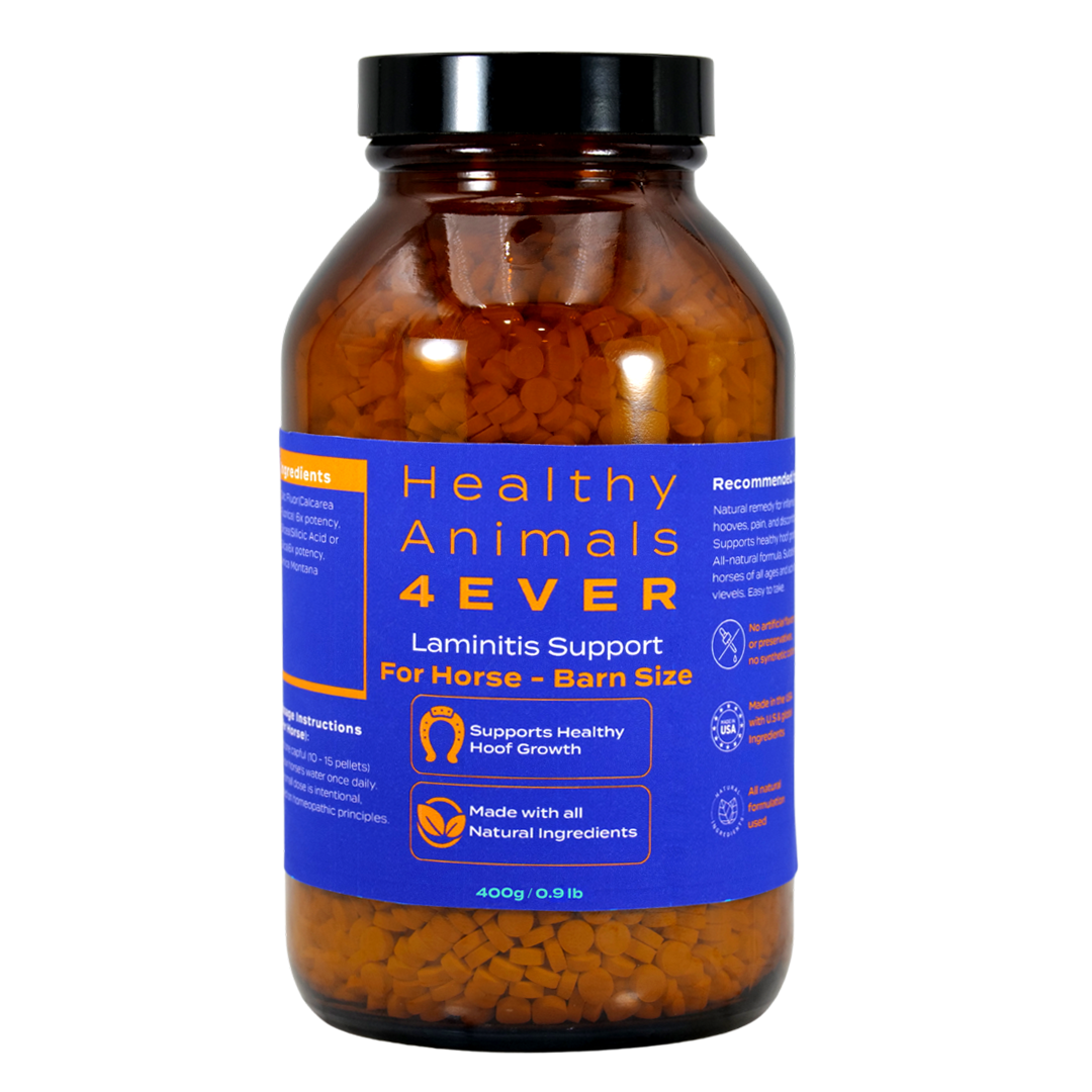 Horse Laminitis Support - Hoof Care for Damaged & Injured Hooves - Highly Effective, Natural Homeopathic Supplement - Tablets, Big Jar