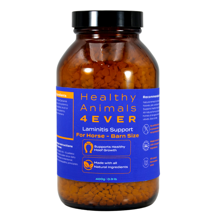 Horse Laminitis Support - Hoof Care for Damaged & Injured Hooves - Highly Effective, Natural Homeopathic Supplement - Tablets, Big Jar