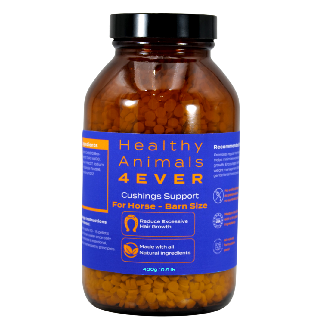 Horse Digestive Support for Cushing’s Disease - Preventative Care - Highly Effective, Natural Homeopathic Supplement - Tablets, Big Jar