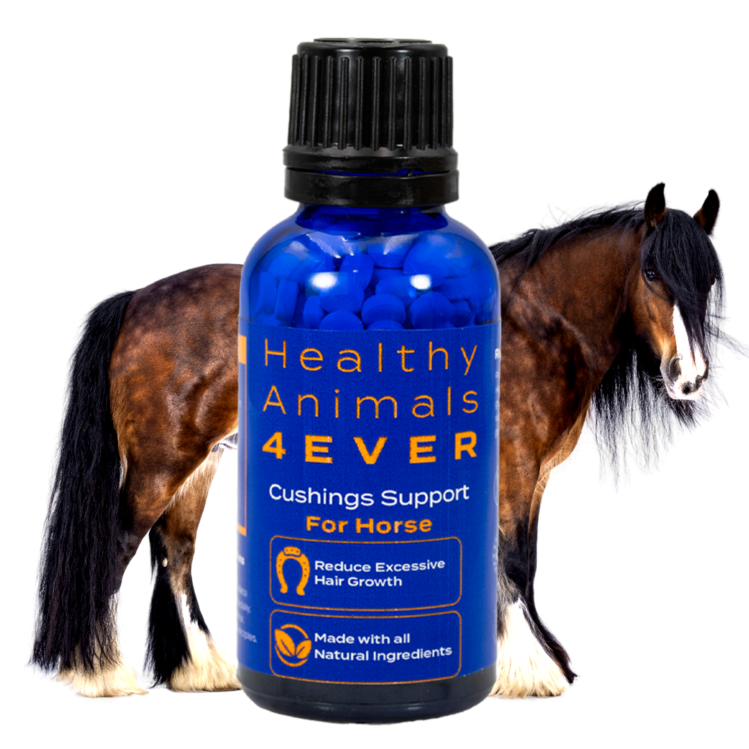 For Your Horses