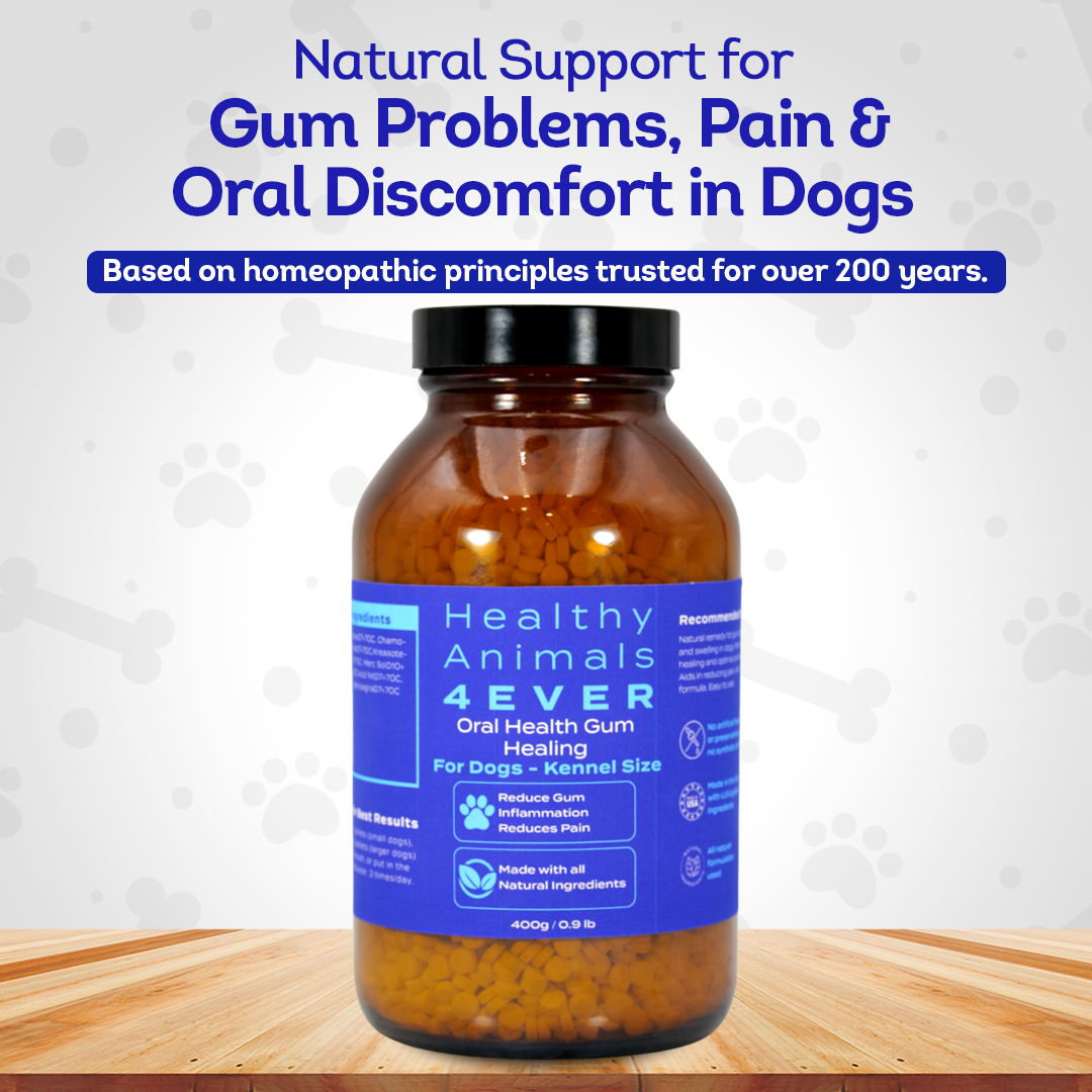 Dog Oral Health Supplement - Relieves Inflammation, Soothes Pain & Fights Gum Disease - Natural, Non-GMO, Organic, Gluten-Free & Chemical-Free - Tablets, Big Jar