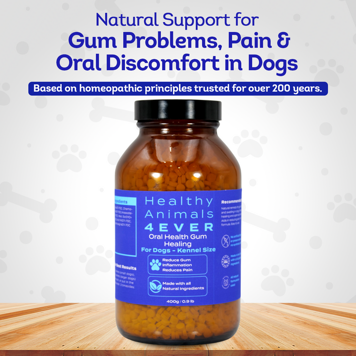 Dog Oral Health Supplement - Relieves Inflammation, Soothes Pain & Fights Gum Disease - Natural, Non-GMO, Organic, Gluten-Free & Chemical-Free - Tablets, Big Jar