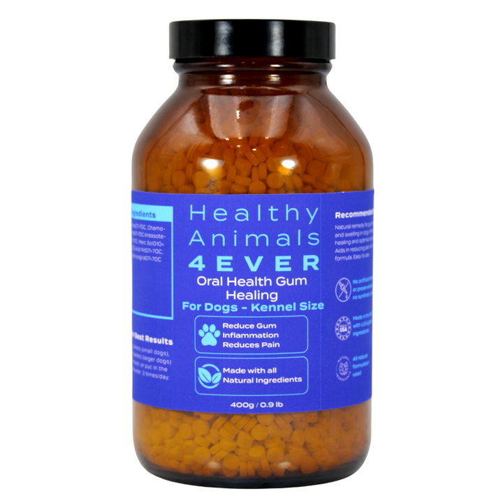 Dog Oral Health Supplement - Relieves Inflammation, Soothes Pain & Fights Gum Disease - Natural, Non-GMO, Organic, Gluten-Free & Chemical-Free - Tablets, Big Jar