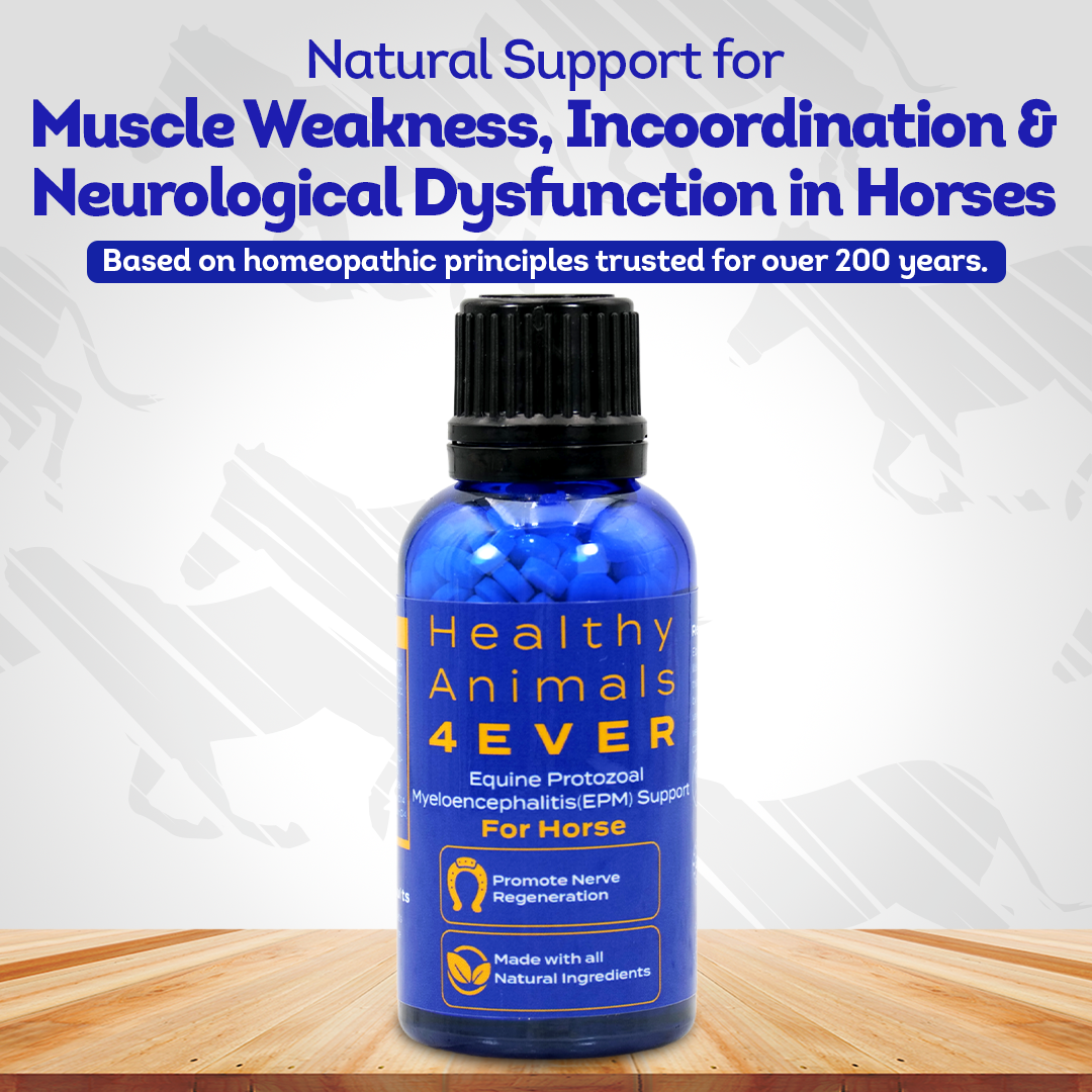 Equine Protozoal Myeloencephalitis (EPM) Support