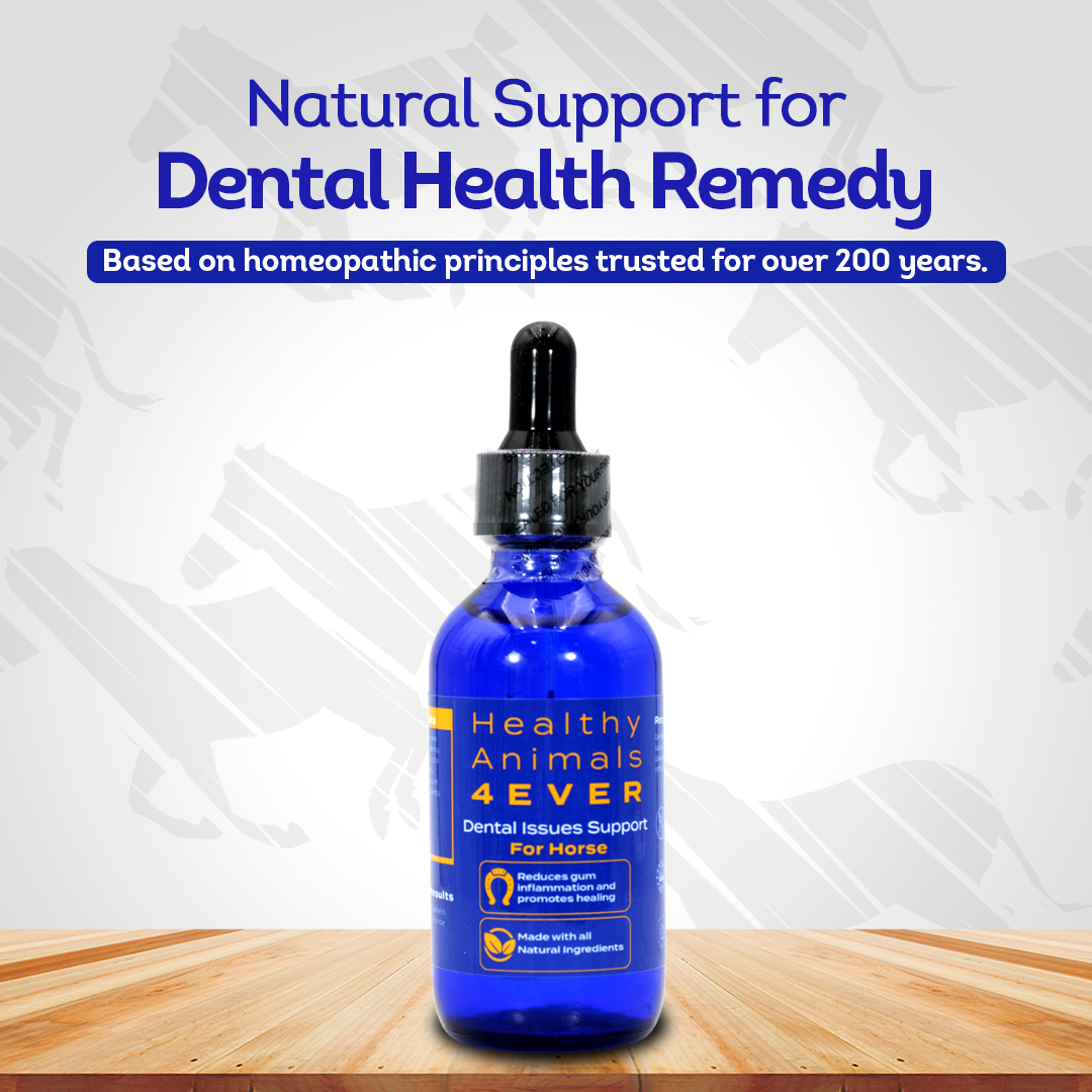 Horse Dental Issues Support (Liquid)