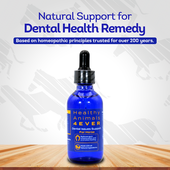 Horse Dental Issues Support (Liquid)