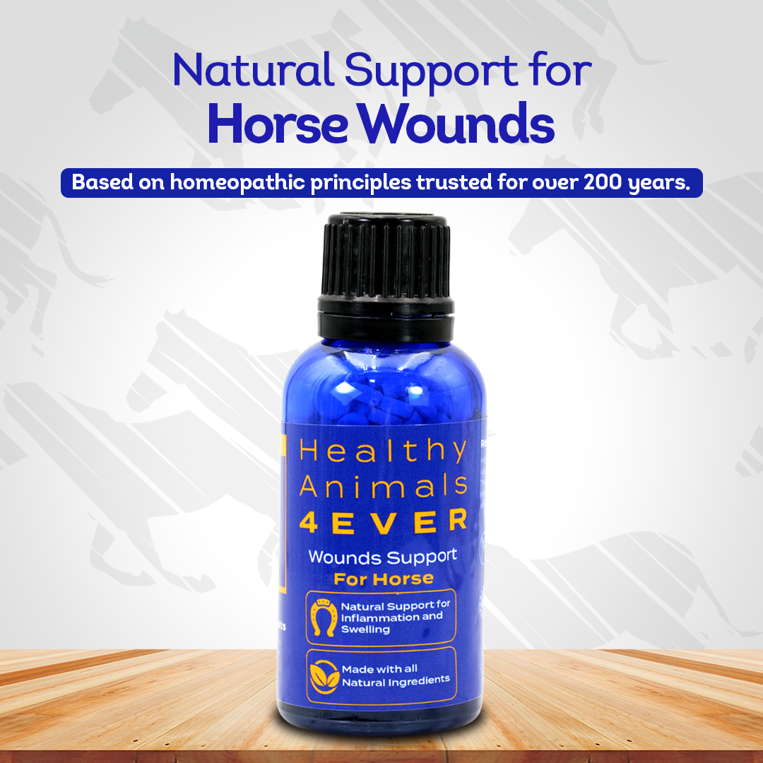 Horse Wounds Support