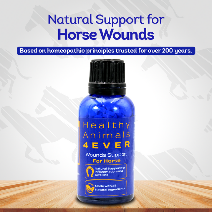 Horse Wounds Support