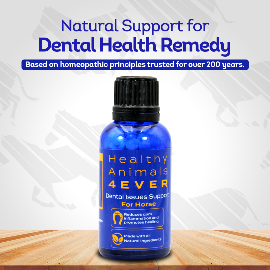 Horse Dental Issues Support