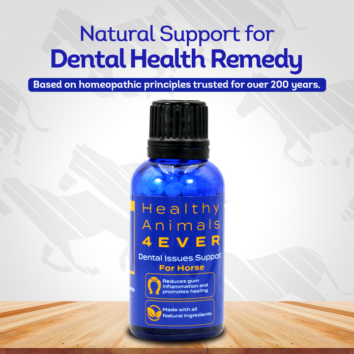 Horse Dental Issues Support