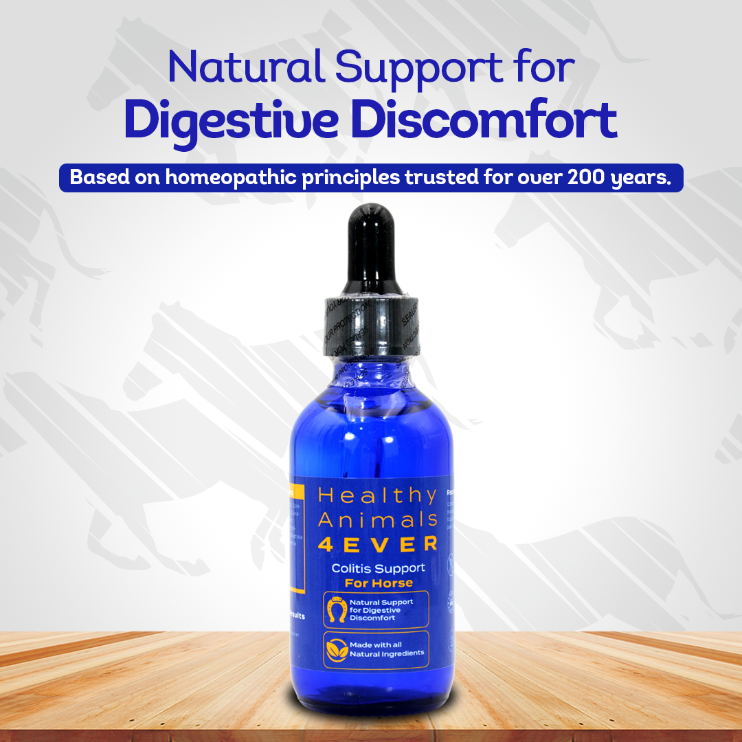 Horse Colitis Support (Liquid)