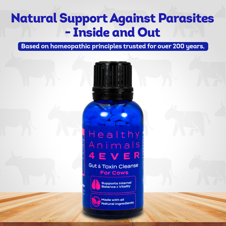 Cow Parasite Removal Support - Gut & Toxin Cleanse