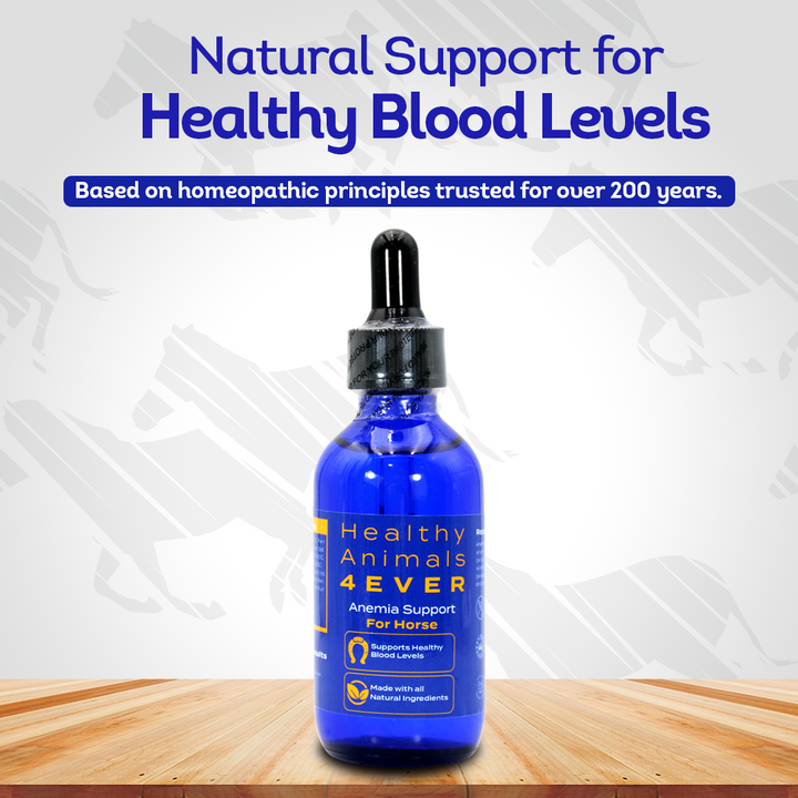 Horse Anemia Support (Liquid)