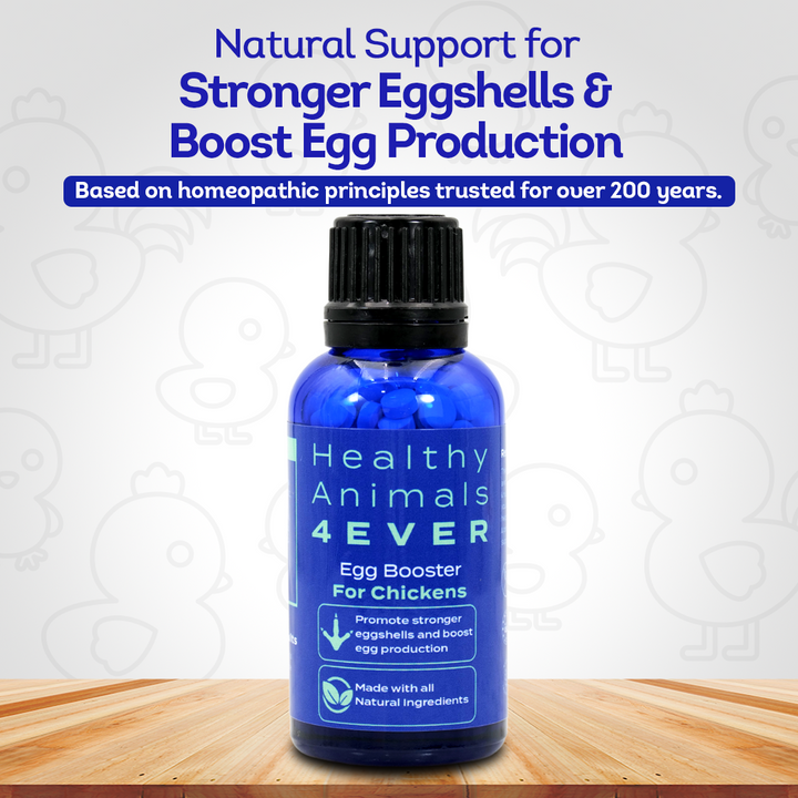 Chicken Egg Booster Supplement - Supports Stronger Eggshells & Stress Relief - Highly Effective Homeopathic Formula - Natural Egg Strengthening Tablets - 300 Count