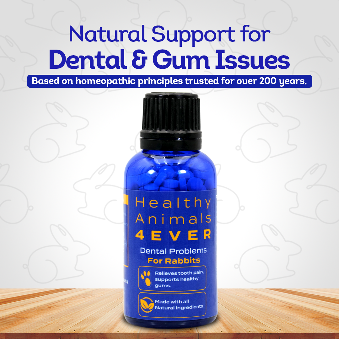 Dental Problems Remedy for Rabbits