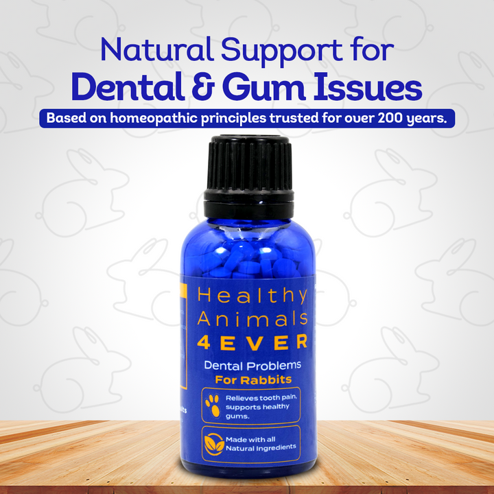 Dental Problems Remedy for Rabbits