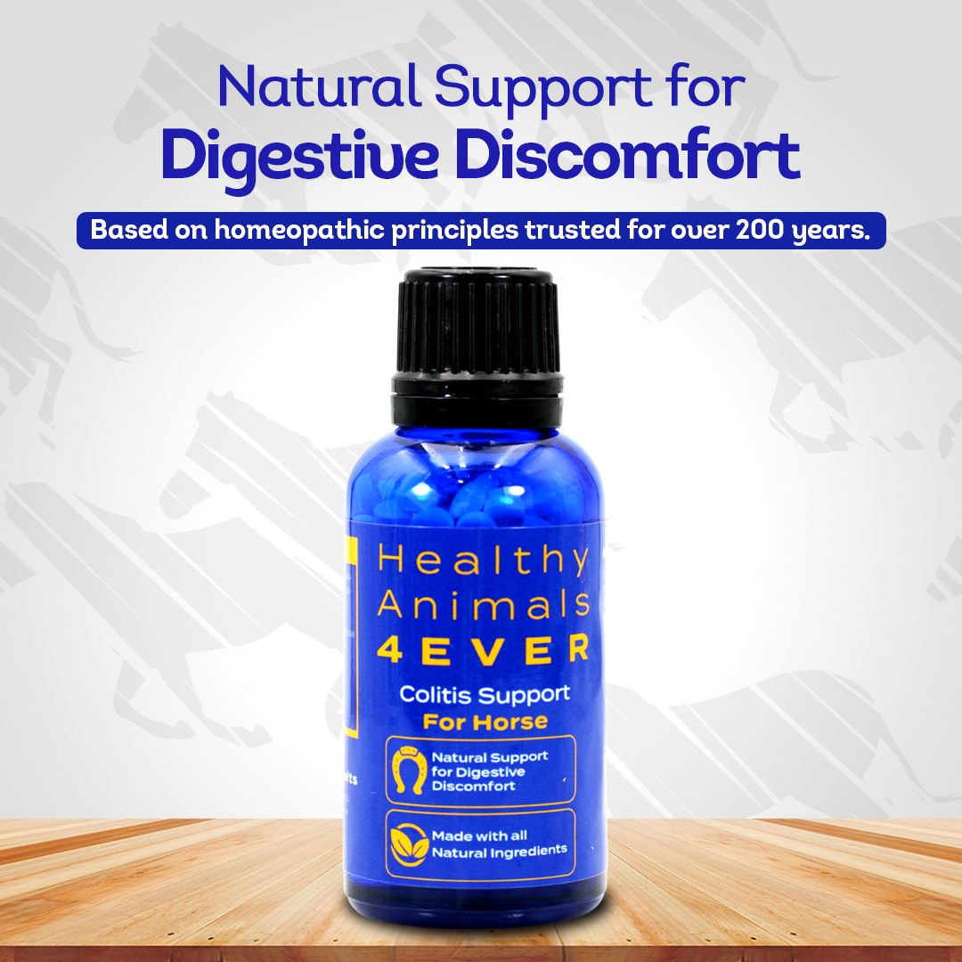 Horse Colitis Support