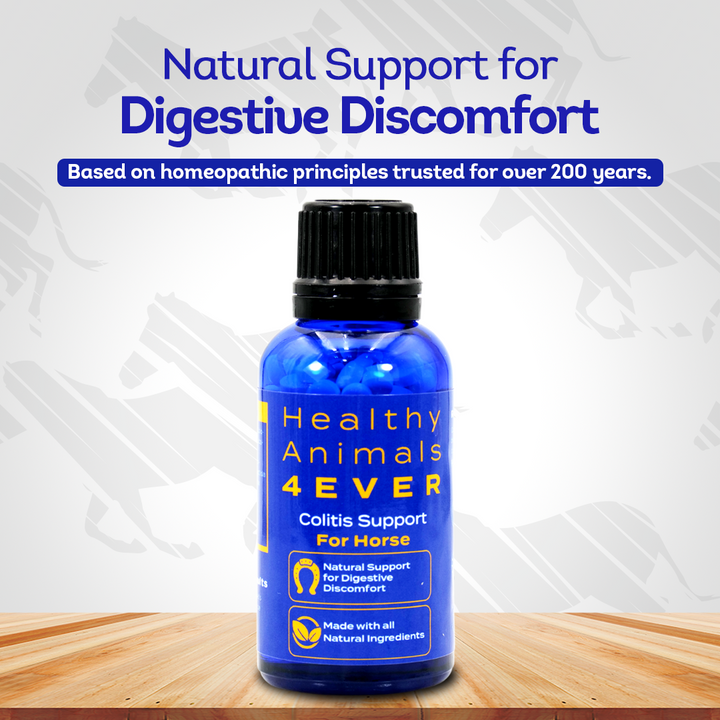 Horse Colitis Support