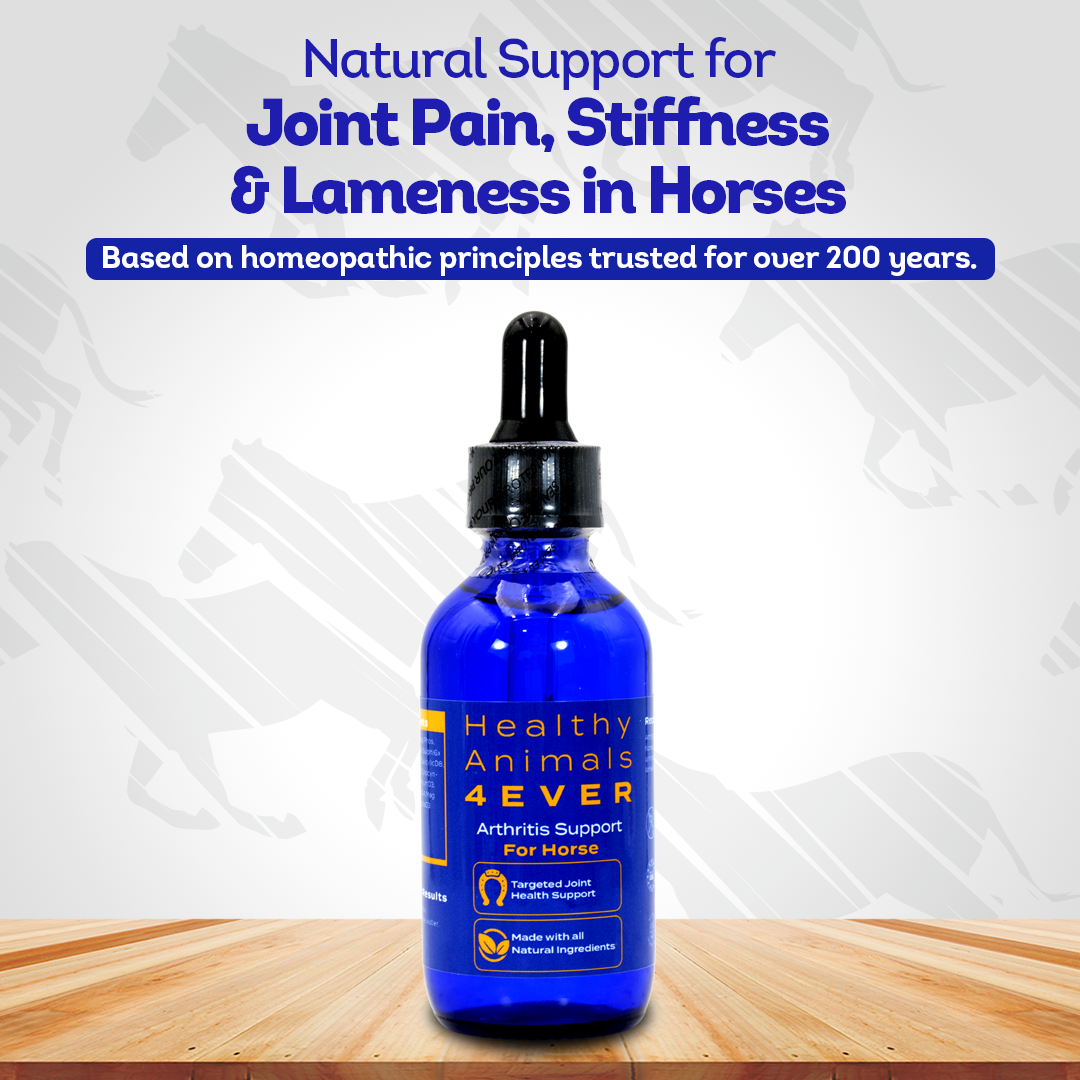 Horse Arthritis Support (Liquid)