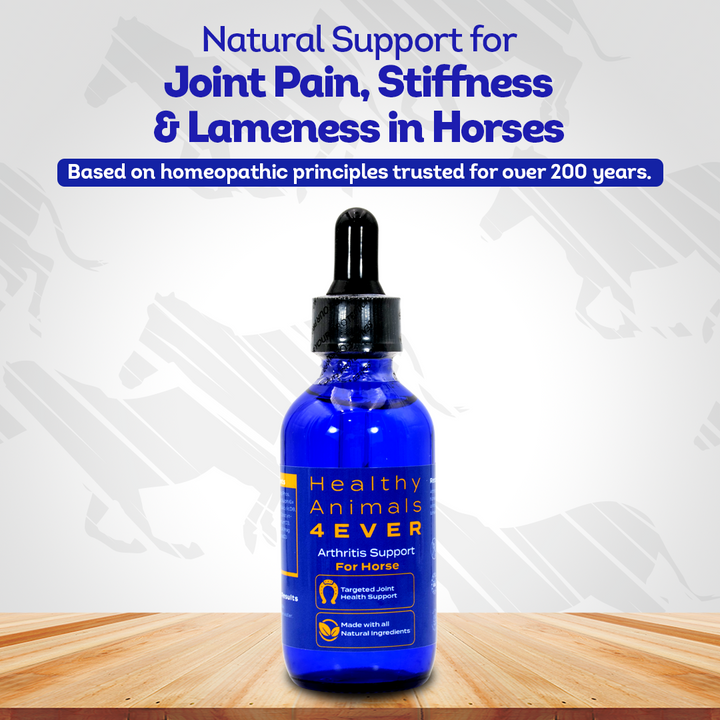 Horse Arthritis Support (Liquid)