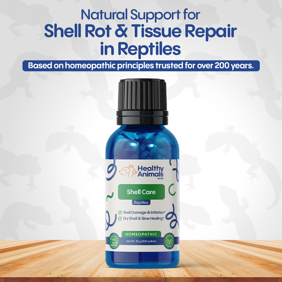 Reptile Shell Care - Natural Support for Shell Rot, Tissue Repair & Healthy Shell Growth - Safe Homeopathic Formula - 300 Tablets